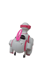 Load image into Gallery viewer, Ռոբոտ-շուն քայլող
